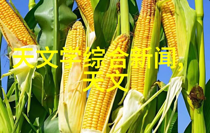 创新设计创造无毒生活空间探索现代化工环境净化设备技术