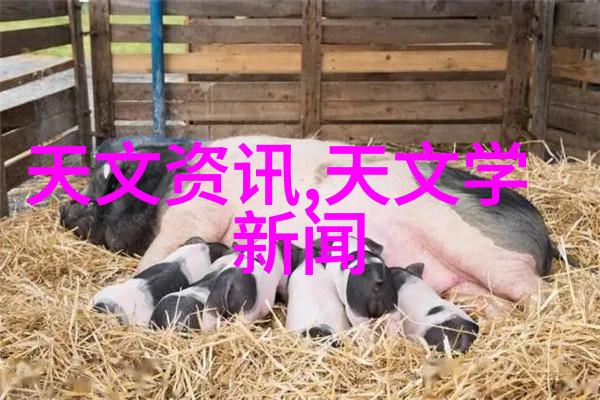牙科高压蒸汽灭菌锅清洁与维护技巧总结