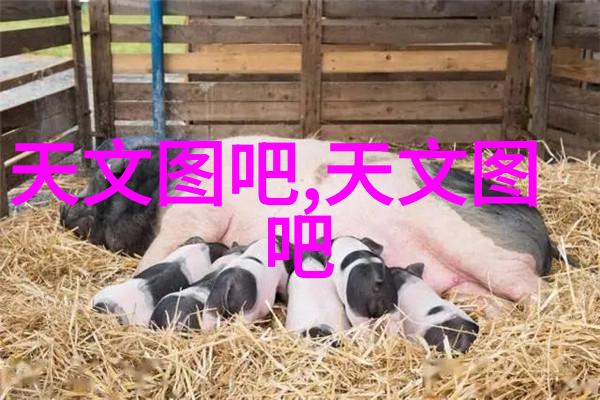 快速消毒灭菌器清洁效率的新标准