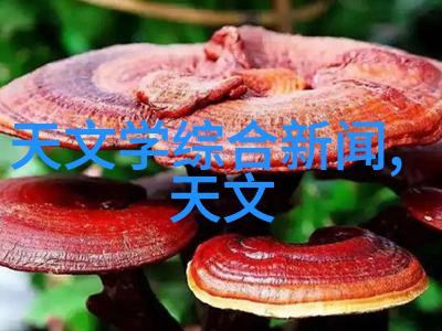 高效干燥技术的创新双锥回转真空干燥机的应用与优势