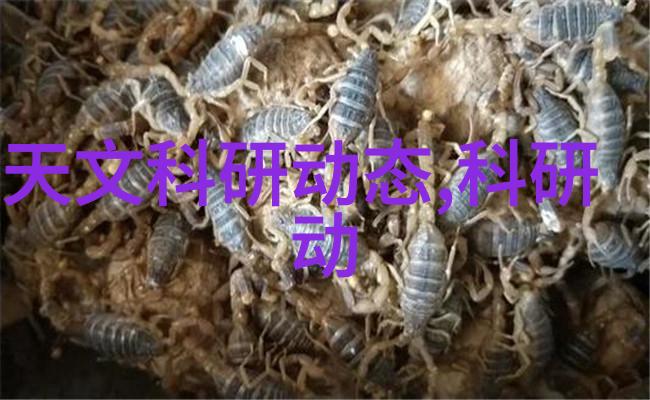蒸汽换热器高效能的能源转换装置