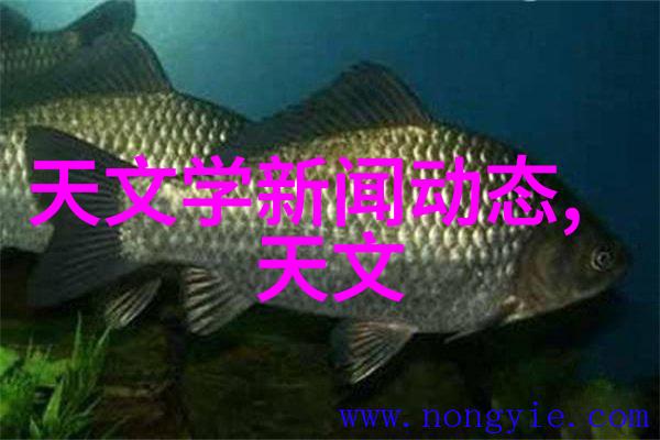 分析精准揭秘总氮测定仪的运作奥秘