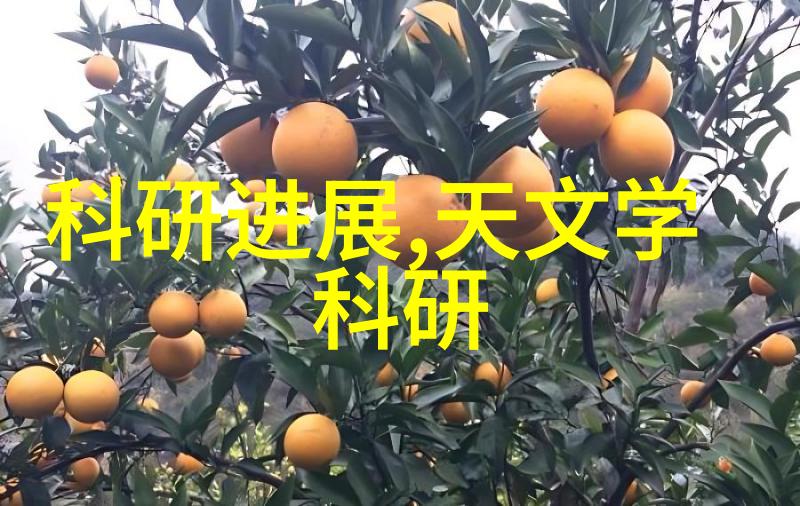 浙江财经大学之谜隐藏在紫金港的金融秘密