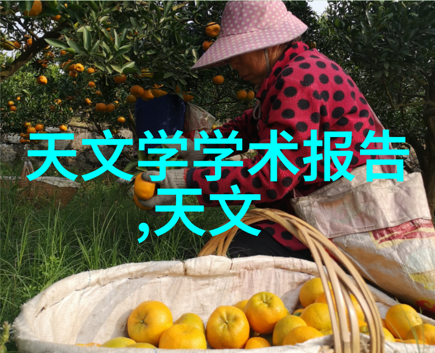 区块链技术在金融领域的潜力和风险有多大