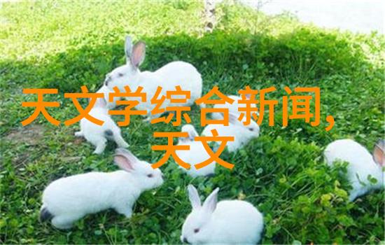 华隆漆官方报价揭秘装修公司排名前十强的颜值大赛