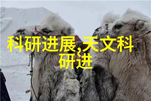 不锈钢圆管价格表304系列产品定价明细