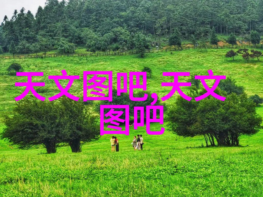 灌装机械的分类及其特点