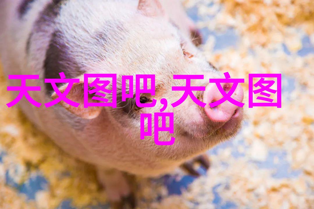 北森人力资源测评系统员工发展的智慧引擎
