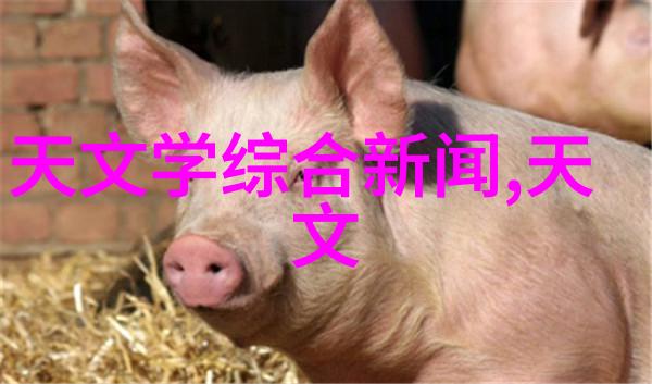 污水废水处理污水处理设备我是如何解决家里的垃圾水的问题