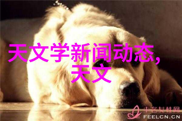 蒜香回锅肉厨房门装修效果图亮点大放送
