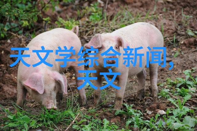 解密丰田配件查询系统的用户友好设计理念