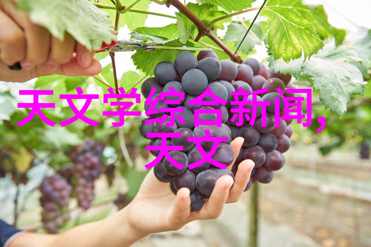 10个小家电生活的点滴宝石揭秘它们背后的实用之光