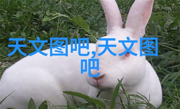 阮家小馆回忆八十年代的温馨与忙碌