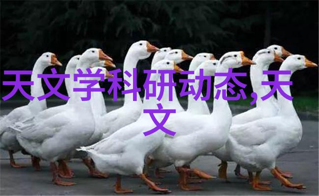 江苏海事职业技术学院的历史沿革又是怎样的
