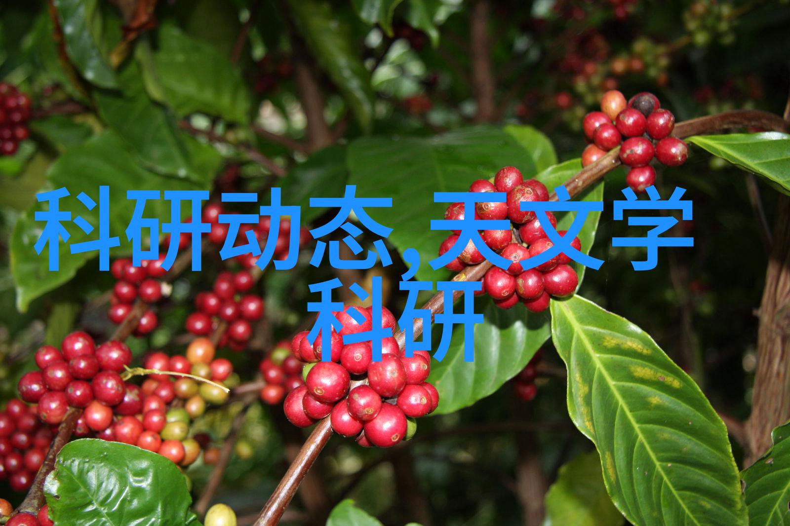 苹果秋季新品发布会碧然德式凡尔赛水滤器让你拥有清新的每一天