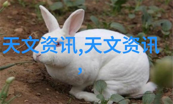 新型环保建材绿色建筑的未来选择