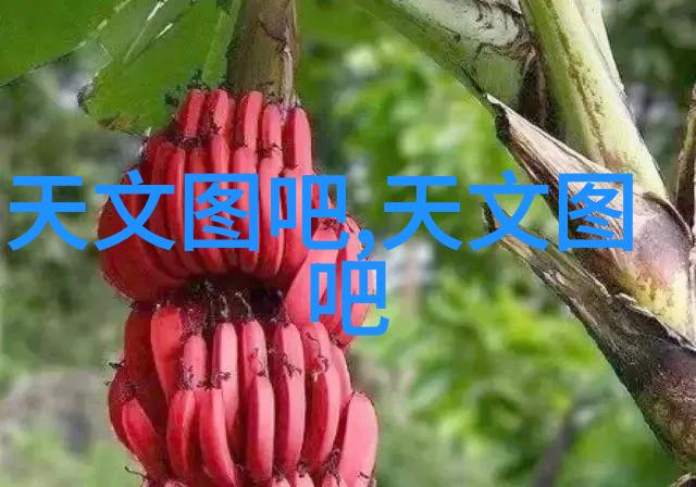 冰点维护解锁冷库保鲜的秘密