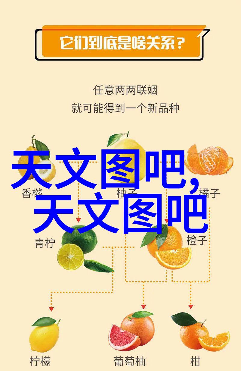 厨房的诗篇橱柜中的故事与梦想