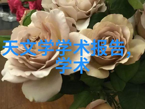 温柔的九分人际交往中的细节之美