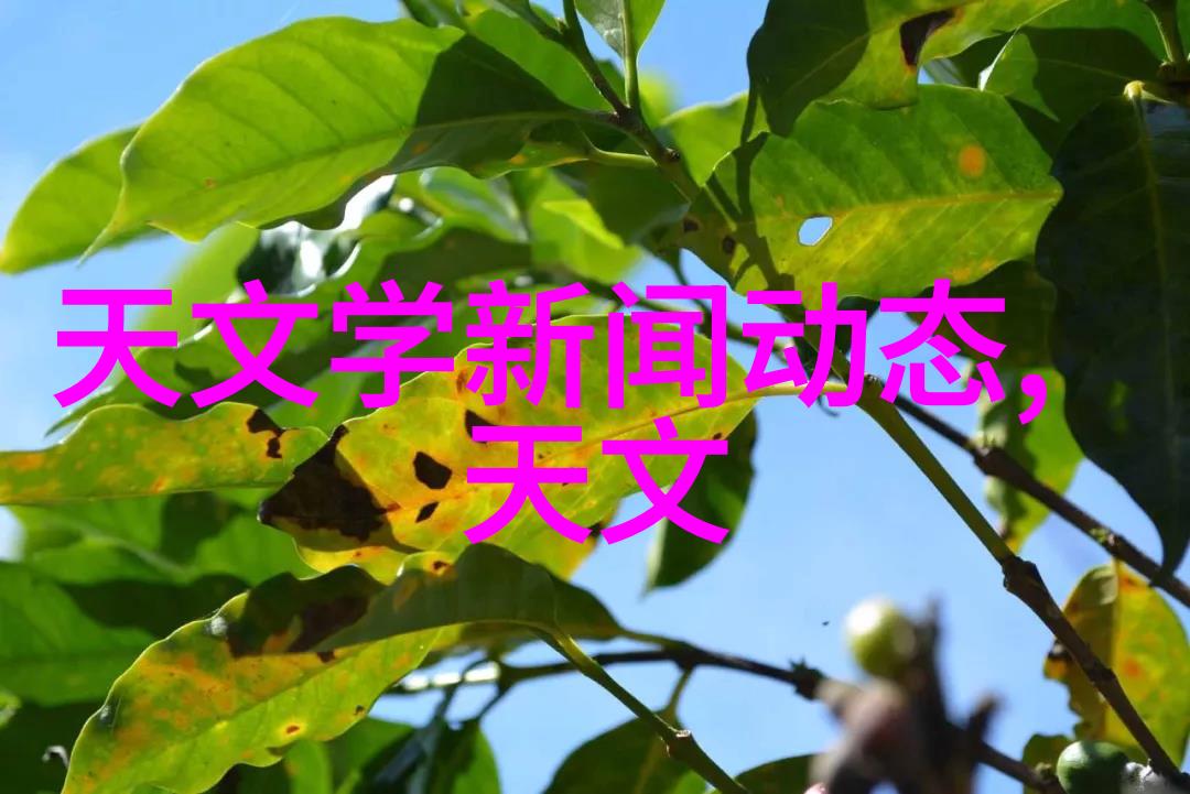 车轮激荡一次次强烈冲击的征程