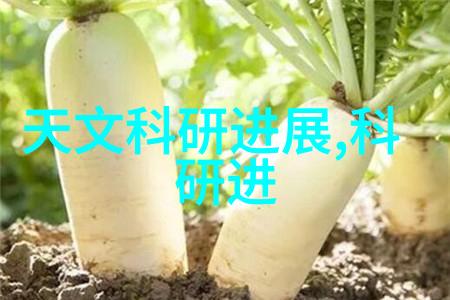 探索无限畅游天下同行网的奇幻旅程
