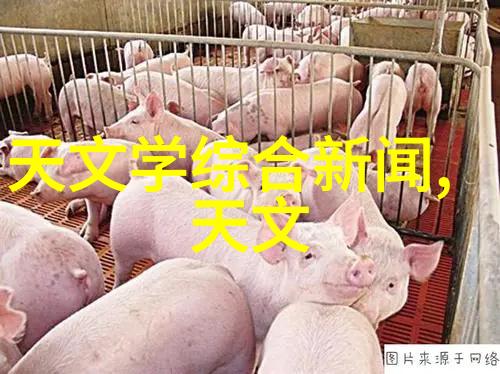 化学实验-揭秘发生装置和反应装置图片化学实验的双重核心