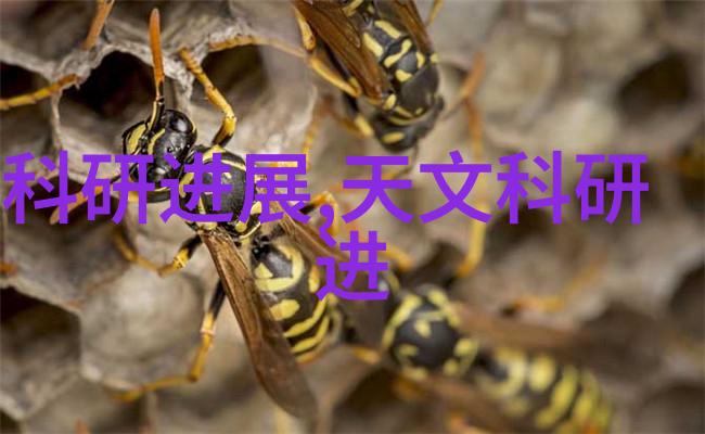 wsz一体化污水处理设备系统解析与应用实例分析
