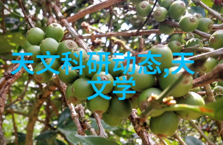 T型波纹填料创新的隔热材料选择