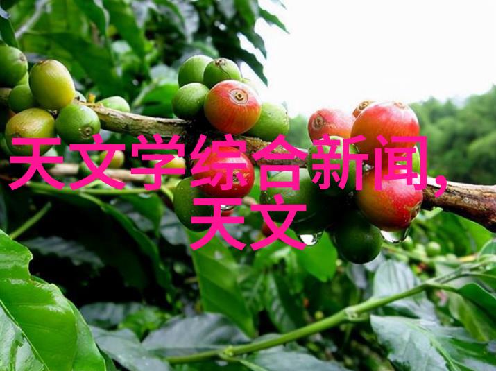 穿越时空的衣物智能纤维与你同行