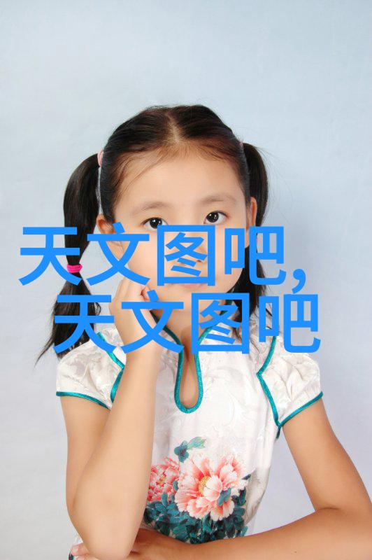 什么是国际上公认的不锈钢矩鞍环填料标准体系
