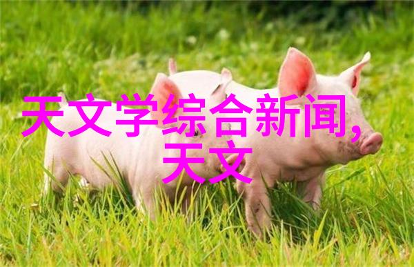 蜂窝填料高性能隔热保温材料
