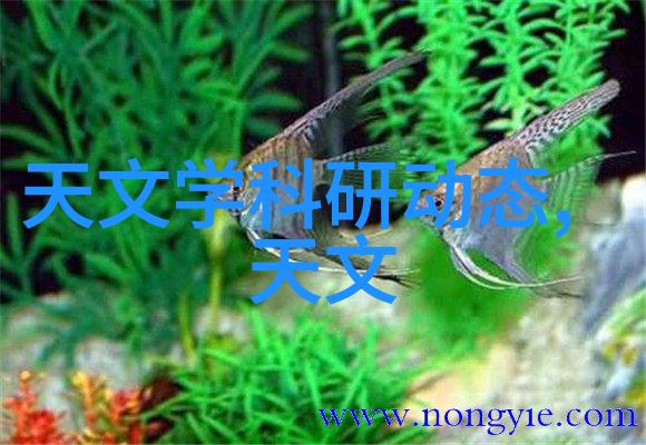 水韵之谜哈希探寻的波纹