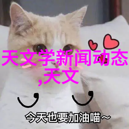 新品发布会震撼亮相科技与创意的完美结合