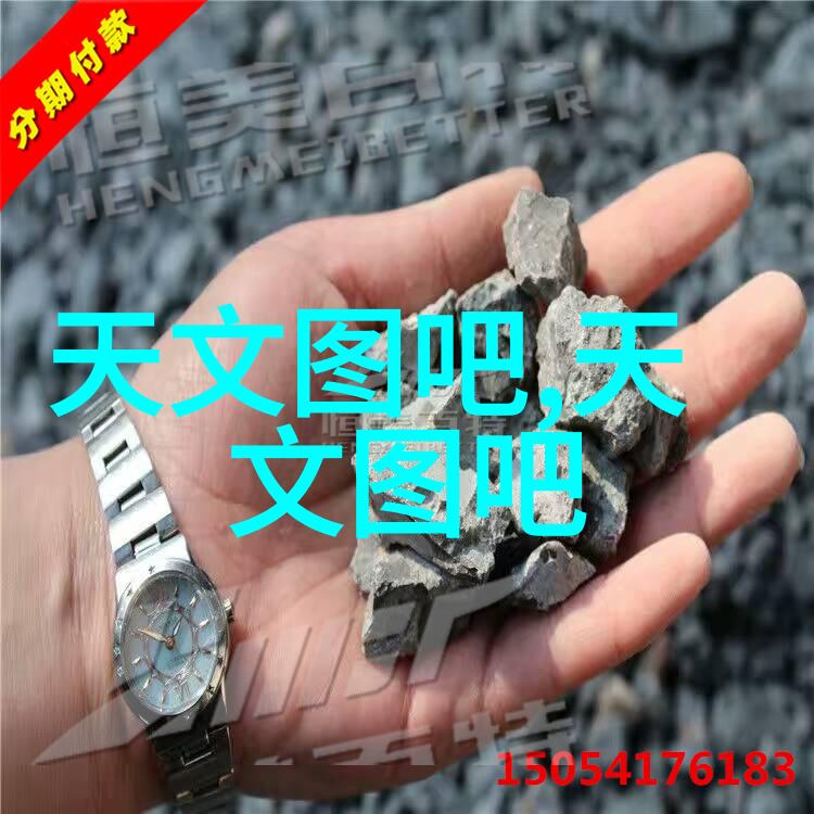 人才多元发展智慧与能力全面提升