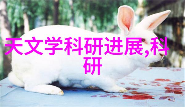 美的厨房电器狂欢购社会全面参与厨具五件套大促销
