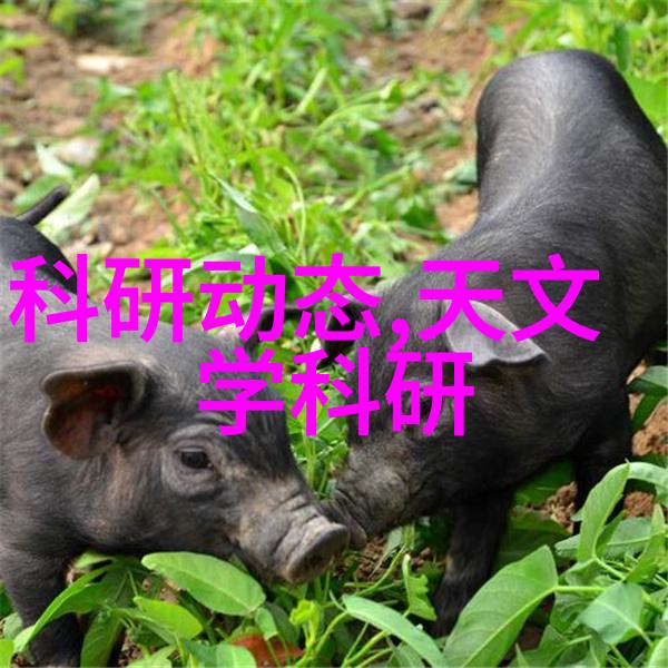 自动高压蒸汽灭菌器我的实验室的守护者