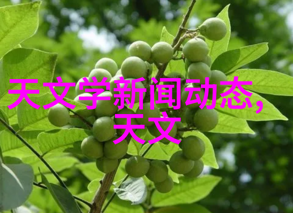 不锈钢创意手工-精巧的金属艺术让手工艺品闪耀成型