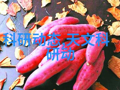 山东财经大学提供哪些专业课程