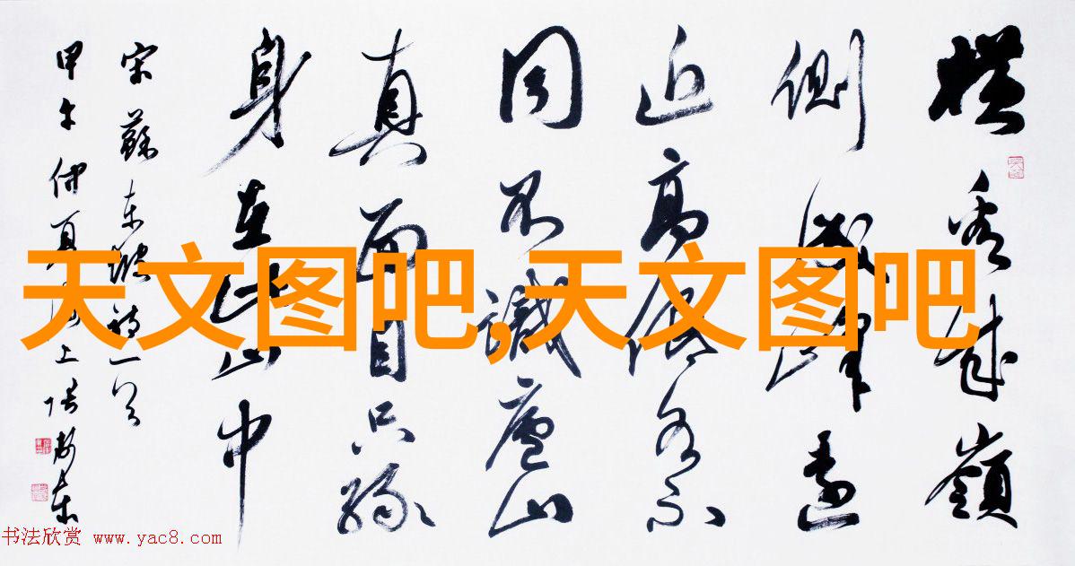 高效反渗透净化水设备确保清洁饮用水的源头安全