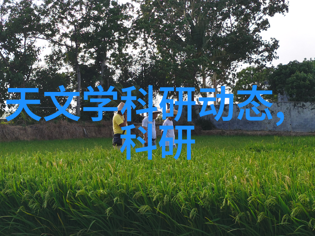 技术创新-超级吸收器未来能源存储的秘密武器