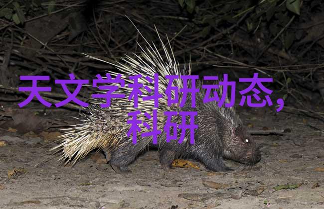 福建农业职业技术学院我在这片绿意盎然的土地上找到了我的方向