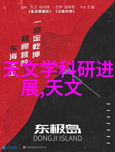 关于对外国投资项目审批流程与结果分析报告