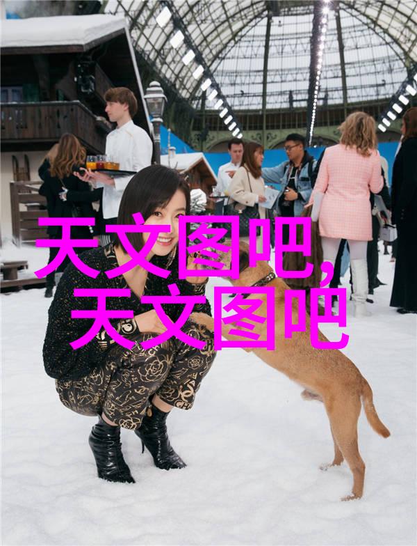 开放合作平台国际交流活动在广东水利电力职业技术学院中的重要性