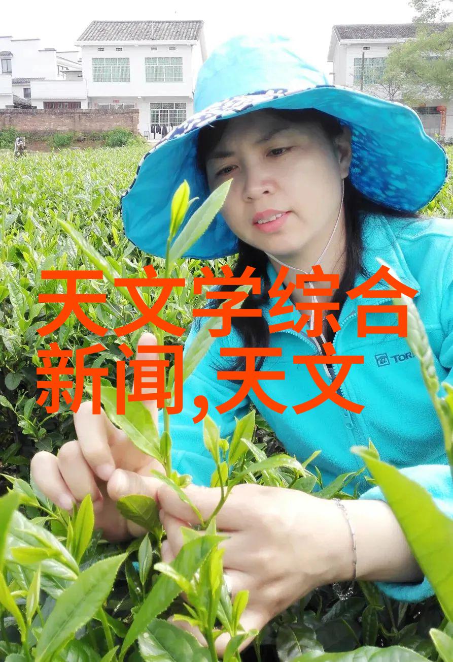 最新砂石分离设备如何改变建筑业的未来