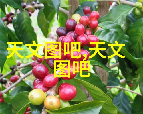 中药粉碎机我的小帮手让药材变成细末的故事