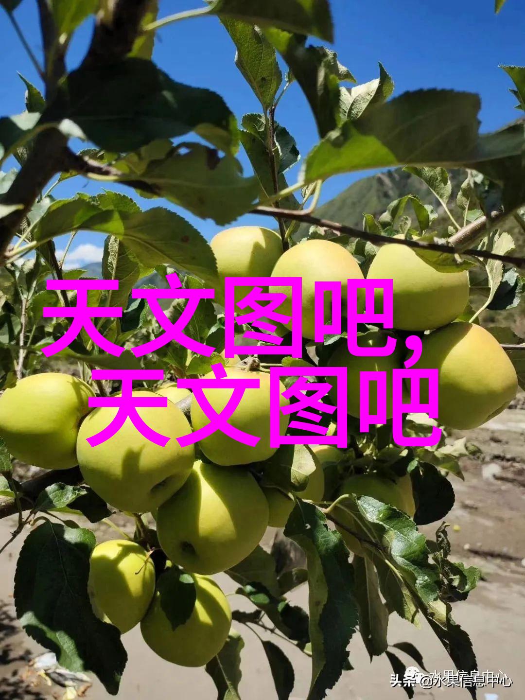 化学精髓的守护者胶囊剂机械之谜