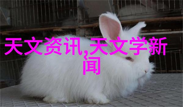 往复泵我的心跳在水下