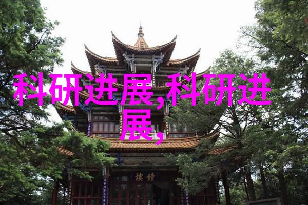 华为技术有限公司2022年最新发展动态华为智能手机市场份额变化5G基础设施部署进展及未来战略规划