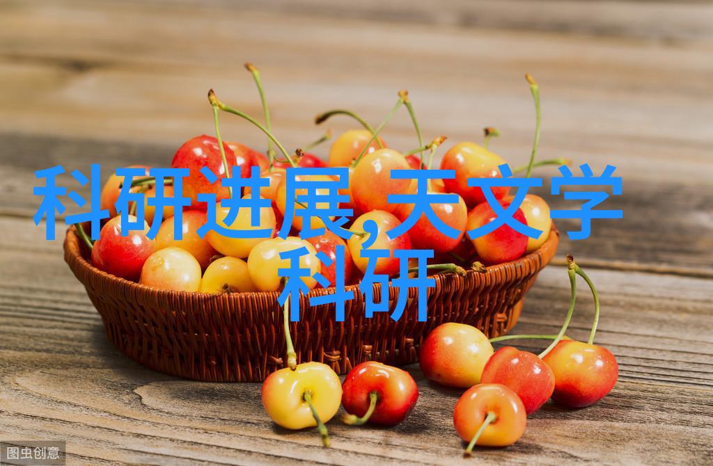 高效利用褐煤资源的关键设计与应用干燥设备技术