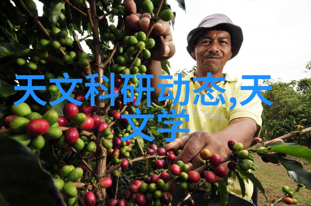 重生之毒眼魔医诡秘的治愈与危险的欲望